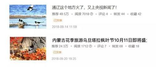 怎么添加通辽今日头条,掌握最新资讯一网打尽