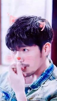 你这里有明星照片,明星风采瞬间捕捉