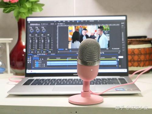 网红麦克风