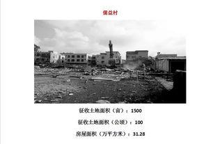 海口秀英区今日新闻头条