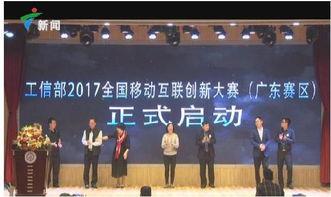 赵紫晨 启明星,启明星闪耀，照亮前行之路