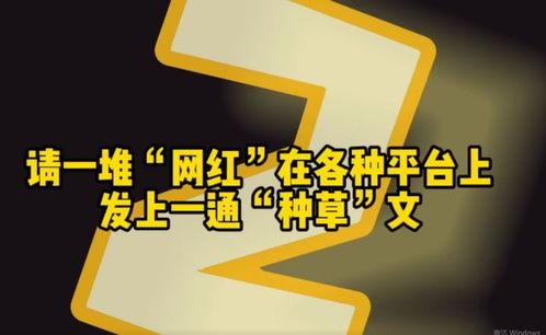 跟网红签约有套路没,警惕这些常见套路，保护你的权益