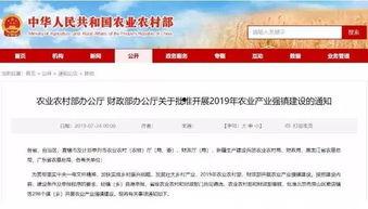 成都乡坝头条视频,探寻巴蜀乡村新风尚