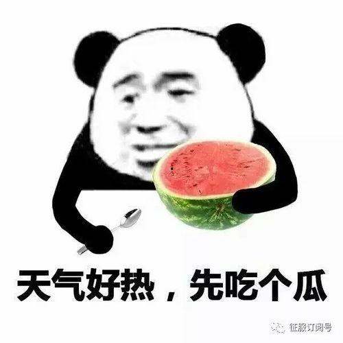 娱乐吃瓜酱梗