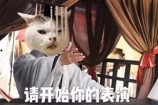 娱乐圈老瓜怎么吃,揭秘明星们的幕后故事