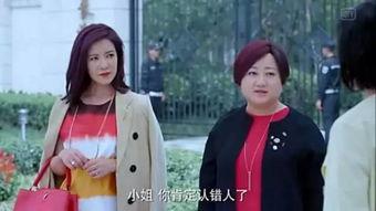 娱乐圈吃瓜小助理,揭秘明星幕后那些事儿