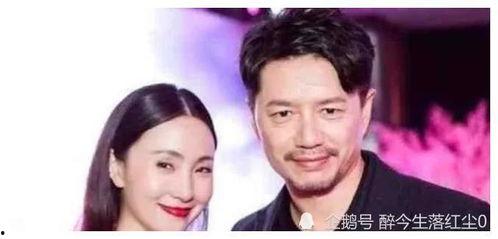 400页娱乐圈吃瓜合集,幕后真相与明星秘闻全收录